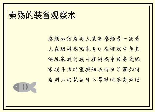 秦殇的装备观察术